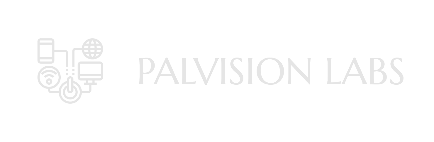 palvision_logo